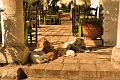 11 02 13_Egypt_0262_edited-1